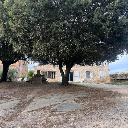 Cosy A La Campagne Appartement Montjustin