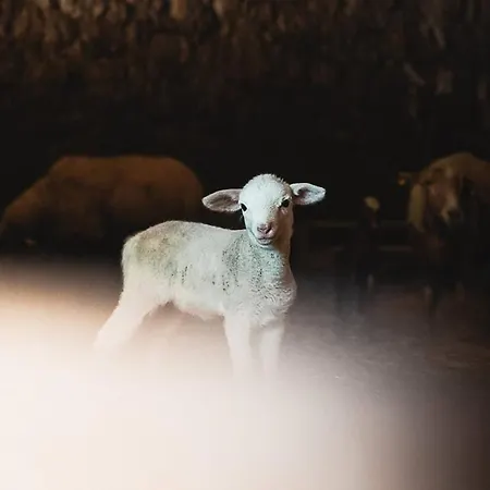 Cosy à La Campagne * Montjustin