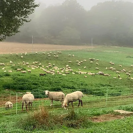 Cosy à La Campagne Apartamento *