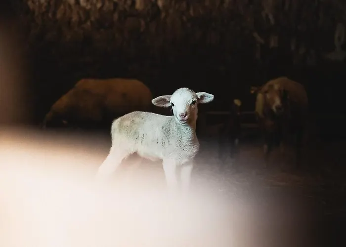 Cosy A La Campagne * Montjustin