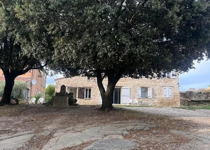 Cosy A La Campagne דירה Montjustin