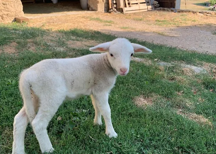 Cosy A La Campagne *